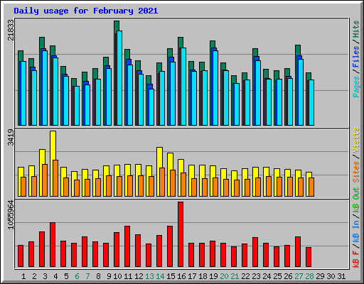 Daily usage for February 2021