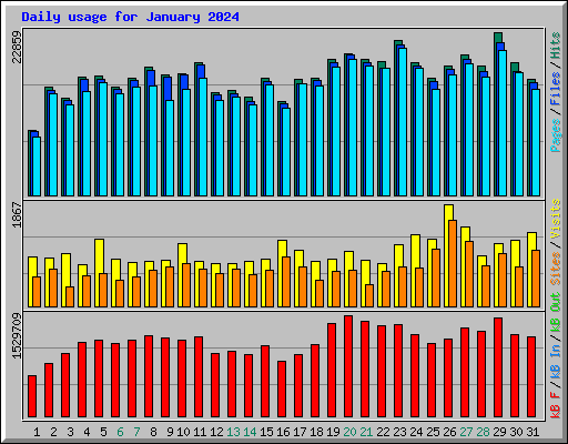 Daily usage for January 2024