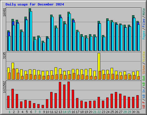 Daily usage for December 2024