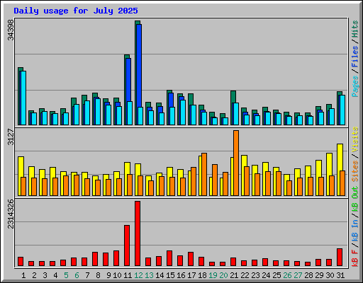 Daily usage for July 2025