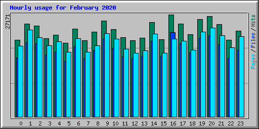 Hourly usage for February 2020