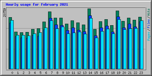 Hourly usage for February 2021