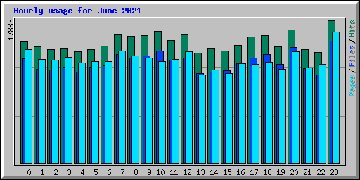 Hourly usage for June 2021