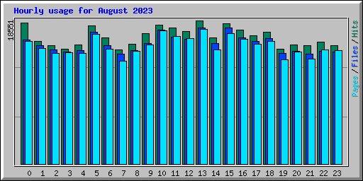 Hourly usage for August 2023