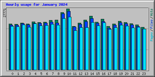 Hourly usage for January 2024