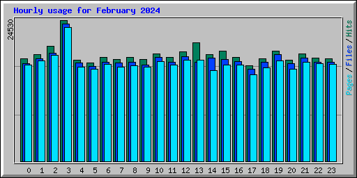 Hourly usage for February 2024