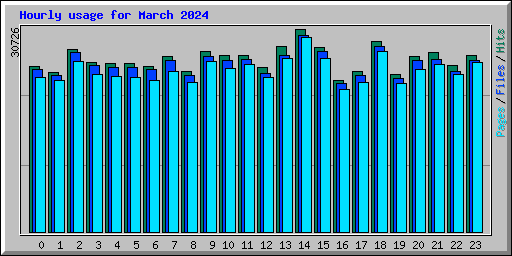 Hourly usage for March 2024