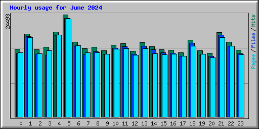Hourly usage for June 2024