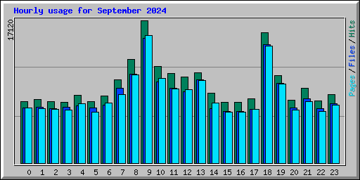 Hourly usage for September 2024