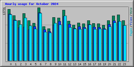 Hourly usage for October 2024