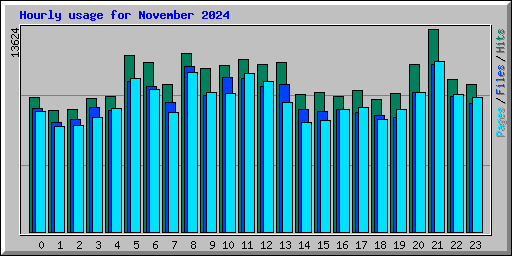 Hourly usage for November 2024