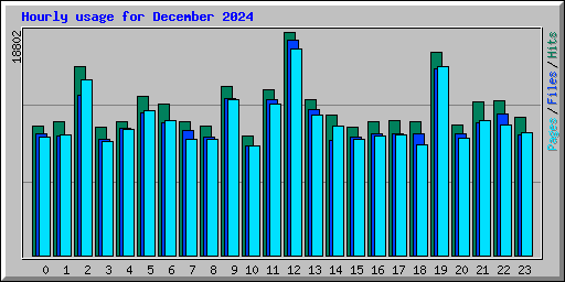 Hourly usage for December 2024