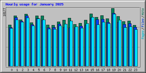 Hourly usage for January 2025