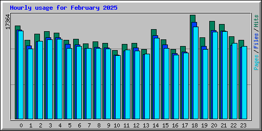 Hourly usage for February 2025