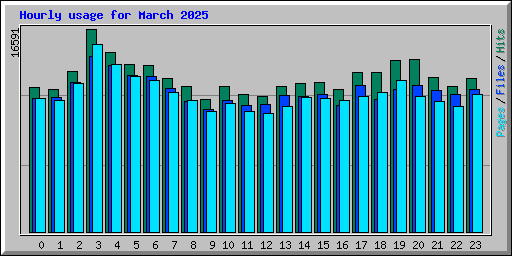 Hourly usage for March 2025