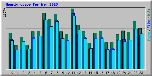 Hourly usage for May 2025