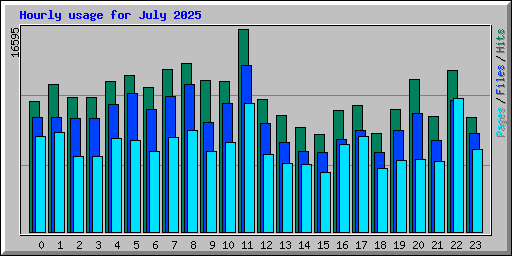 Hourly usage for July 2025