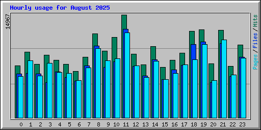 Hourly usage for August 2025