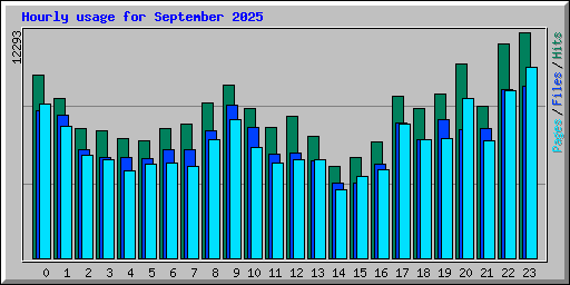 Hourly usage for September 2025