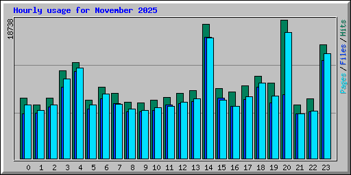 Hourly usage for November 2025