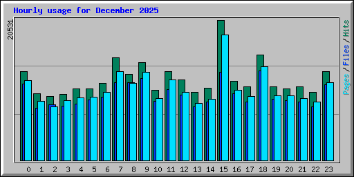 Hourly usage for December 2025