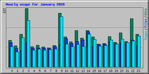 Hourly usage for January 2026